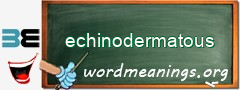 WordMeaning blackboard for echinodermatous